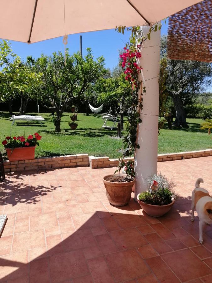 La Collina Del Riccio Lägenhet Ortona Exteriör bild