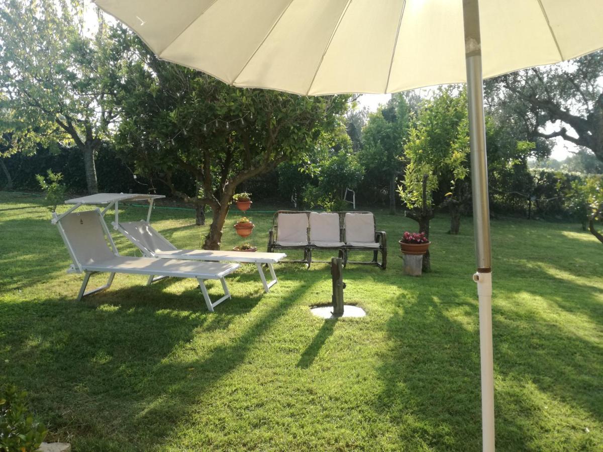 La Collina Del Riccio Lägenhet Ortona Exteriör bild
