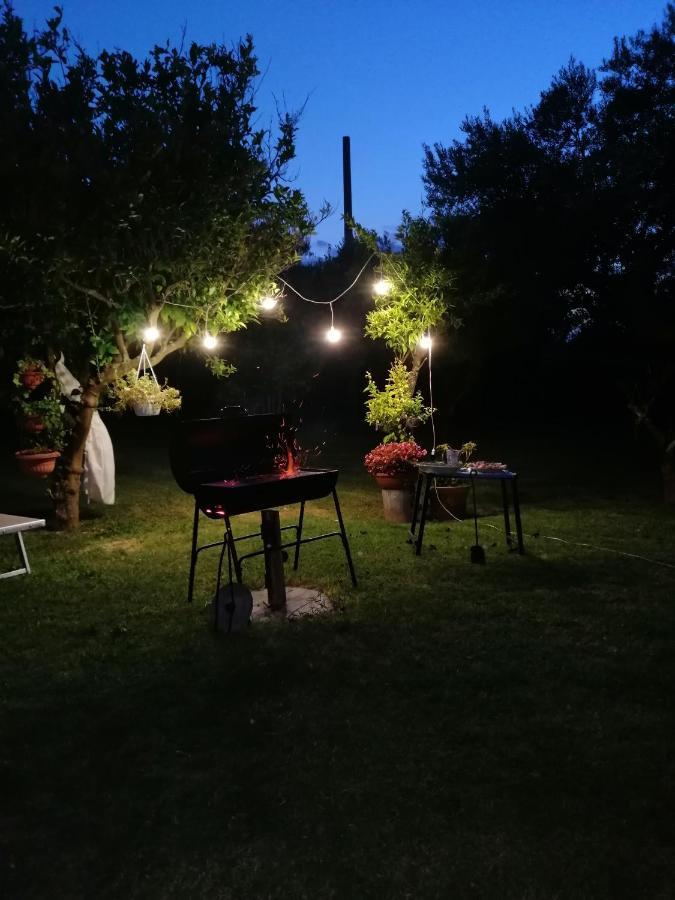 La Collina Del Riccio Lägenhet Ortona Exteriör bild