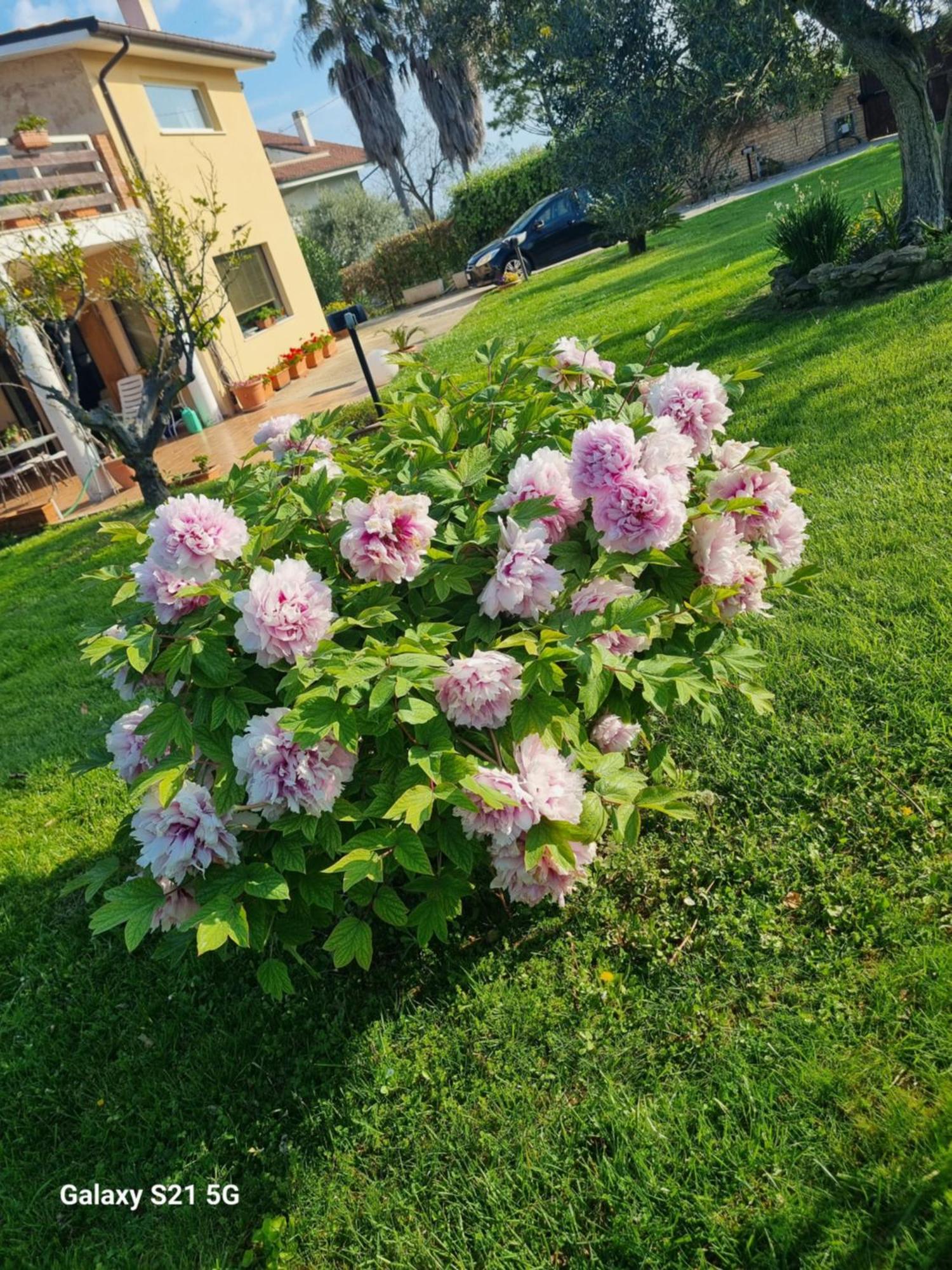 La Collina Del Riccio Lägenhet Ortona Exteriör bild