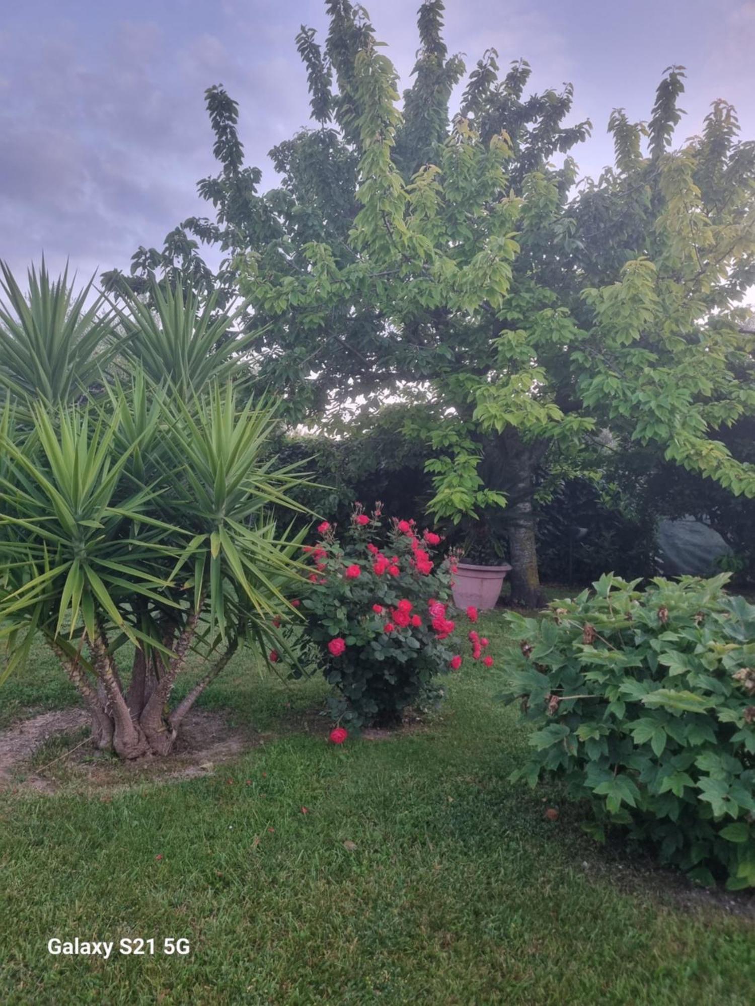 La Collina Del Riccio Lägenhet Ortona Exteriör bild