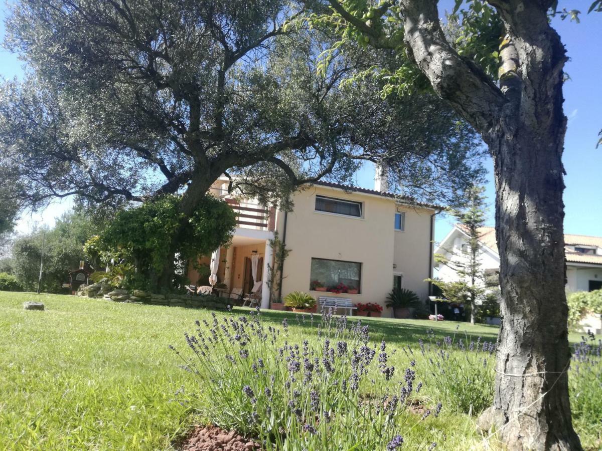La Collina Del Riccio Lägenhet Ortona Exteriör bild