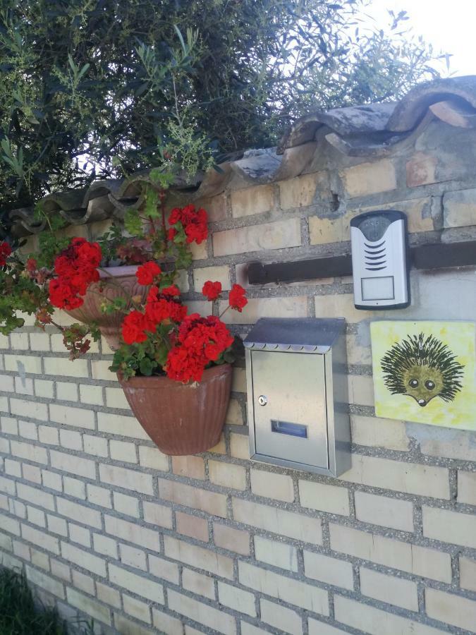 La Collina Del Riccio Lägenhet Ortona Exteriör bild
