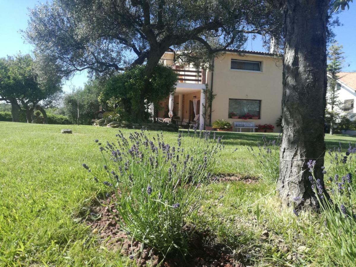 La Collina Del Riccio Lägenhet Ortona Exteriör bild