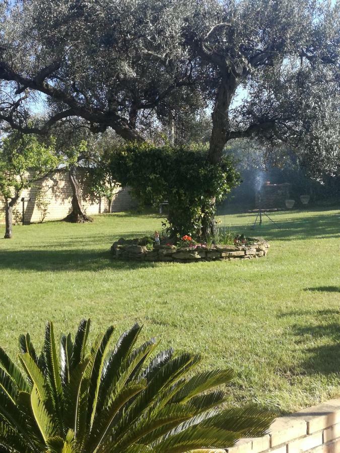 La Collina Del Riccio Lägenhet Ortona Exteriör bild